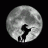 Moonhorse